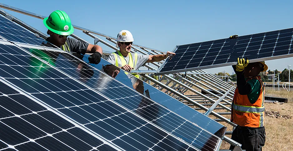 Solar Farm Worker